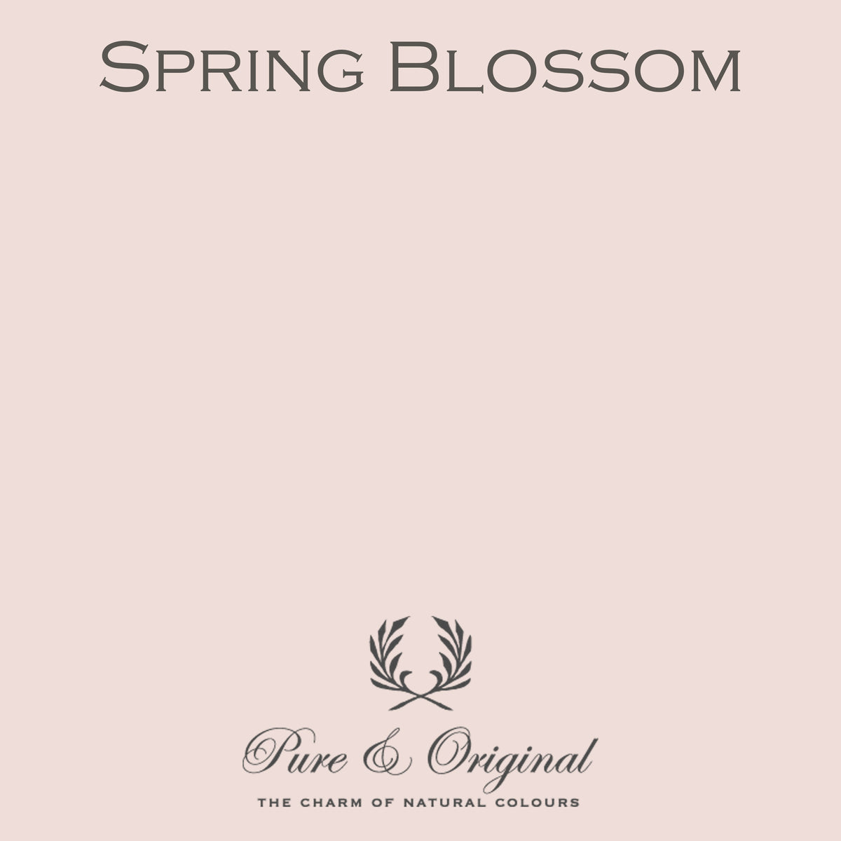 Pure & Original Spring Blossom - Classico krijtverf