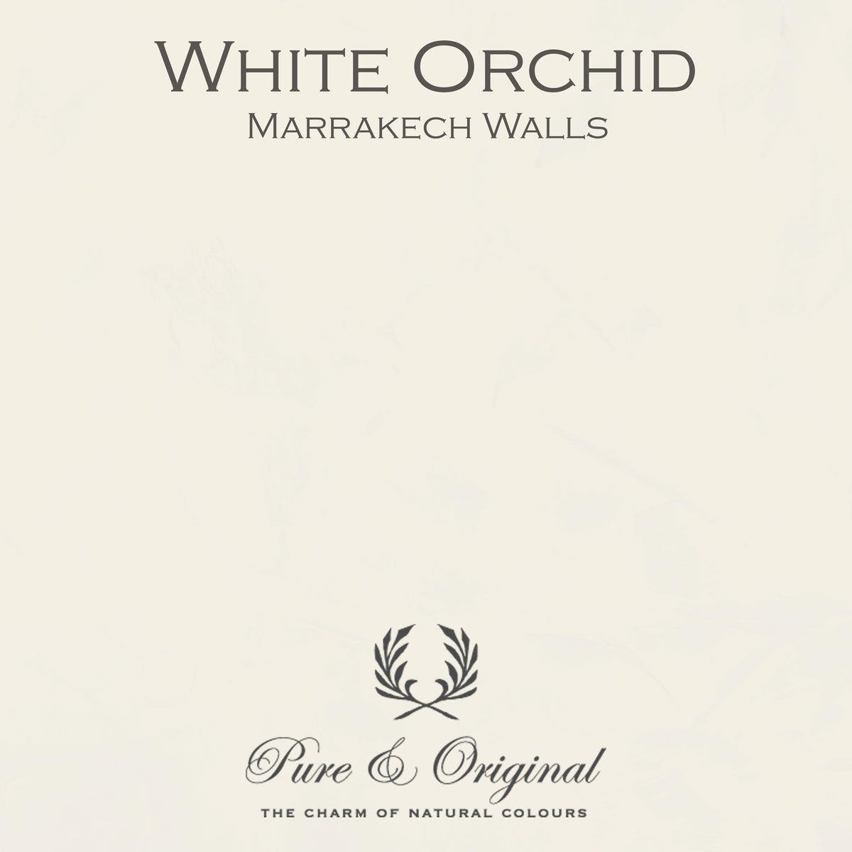 Pure & Original White Orchid - Marrakech Walls kalkstuc
