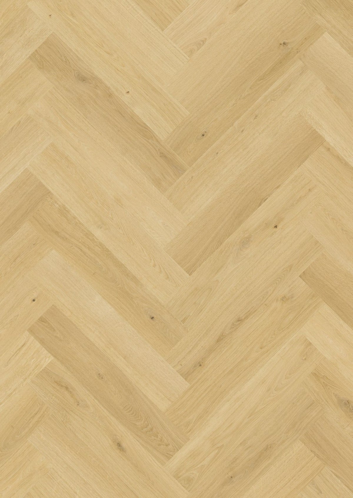 Quick-Step Impressive Design IMD8243 Nootmuskaat Eik - Laminaat Visgraat