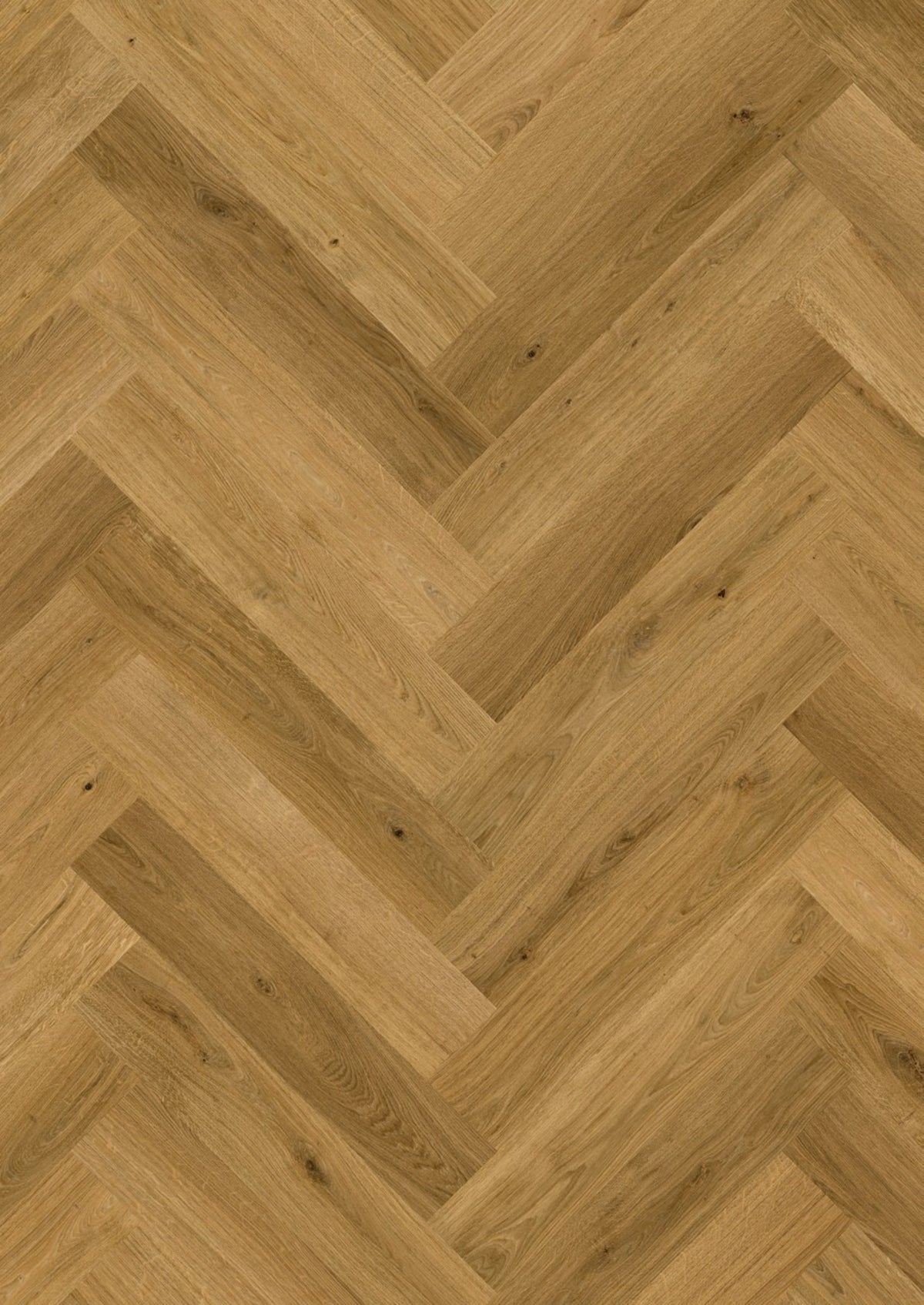 Quick-Step Impressive Design IMD8244 Kaneel Eik - Laminaat Visgraat