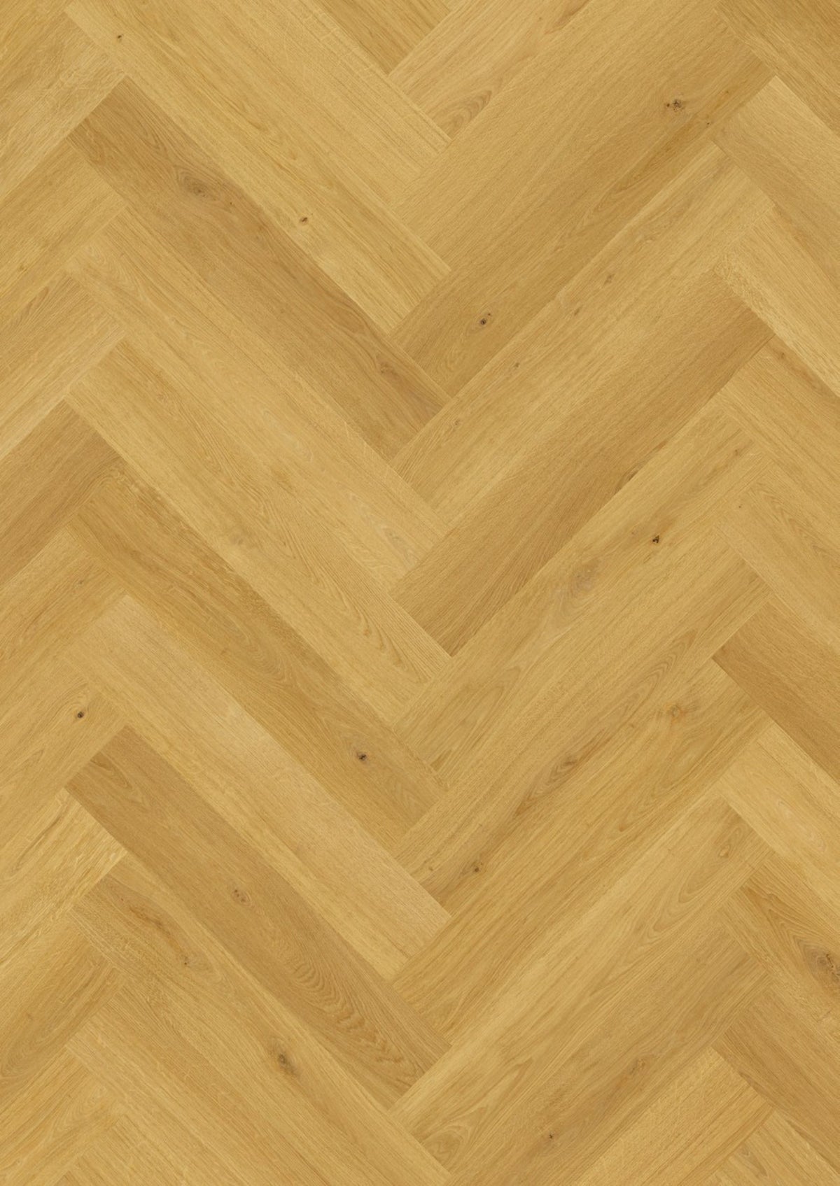 Quick-Step Impressive Design IMD8247 Komijn Eik - Laminaat Visgraat
