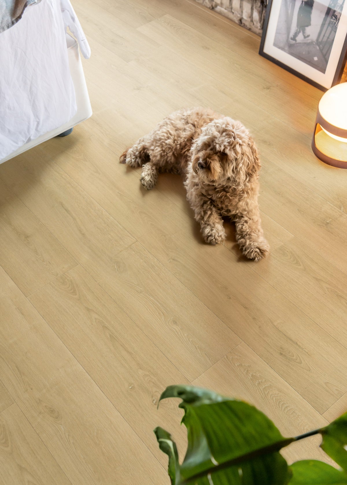 Quick-Step Capture SIG4763 Geborstelde Naturelle Eik - Laminaat Stroken