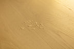 Quick-Step Classic CLM5794 Biscuit Bruine Eik - Laminaat Stroken