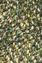 Brink & Campman vloerkleed - Spring 059107 Evergreen