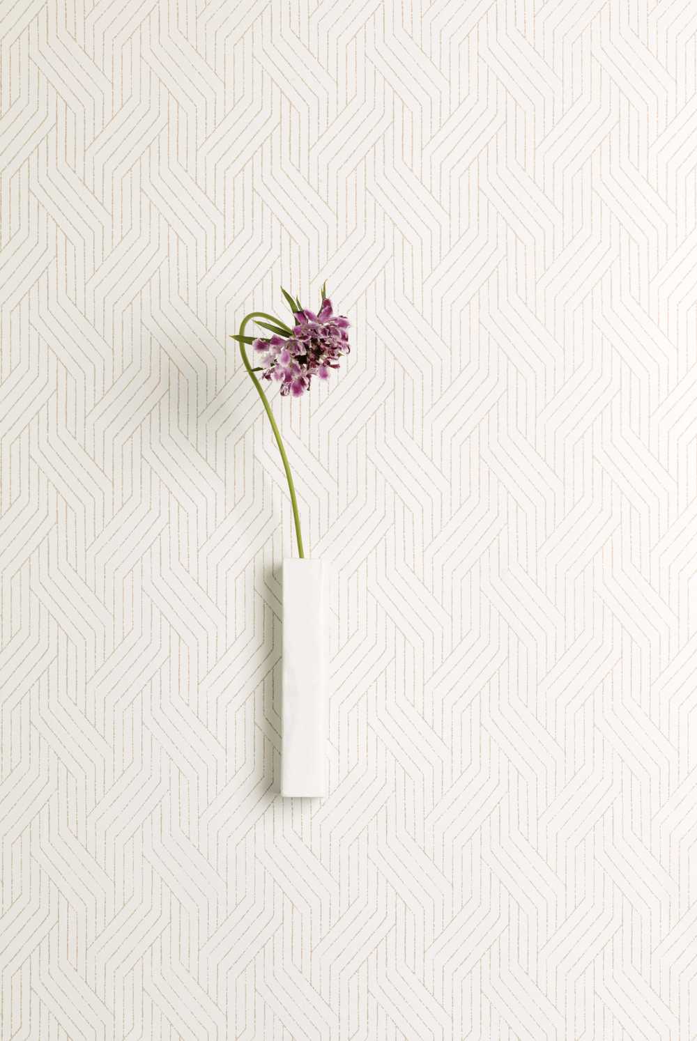Masureel Zen ZEN401 Everly Oyster