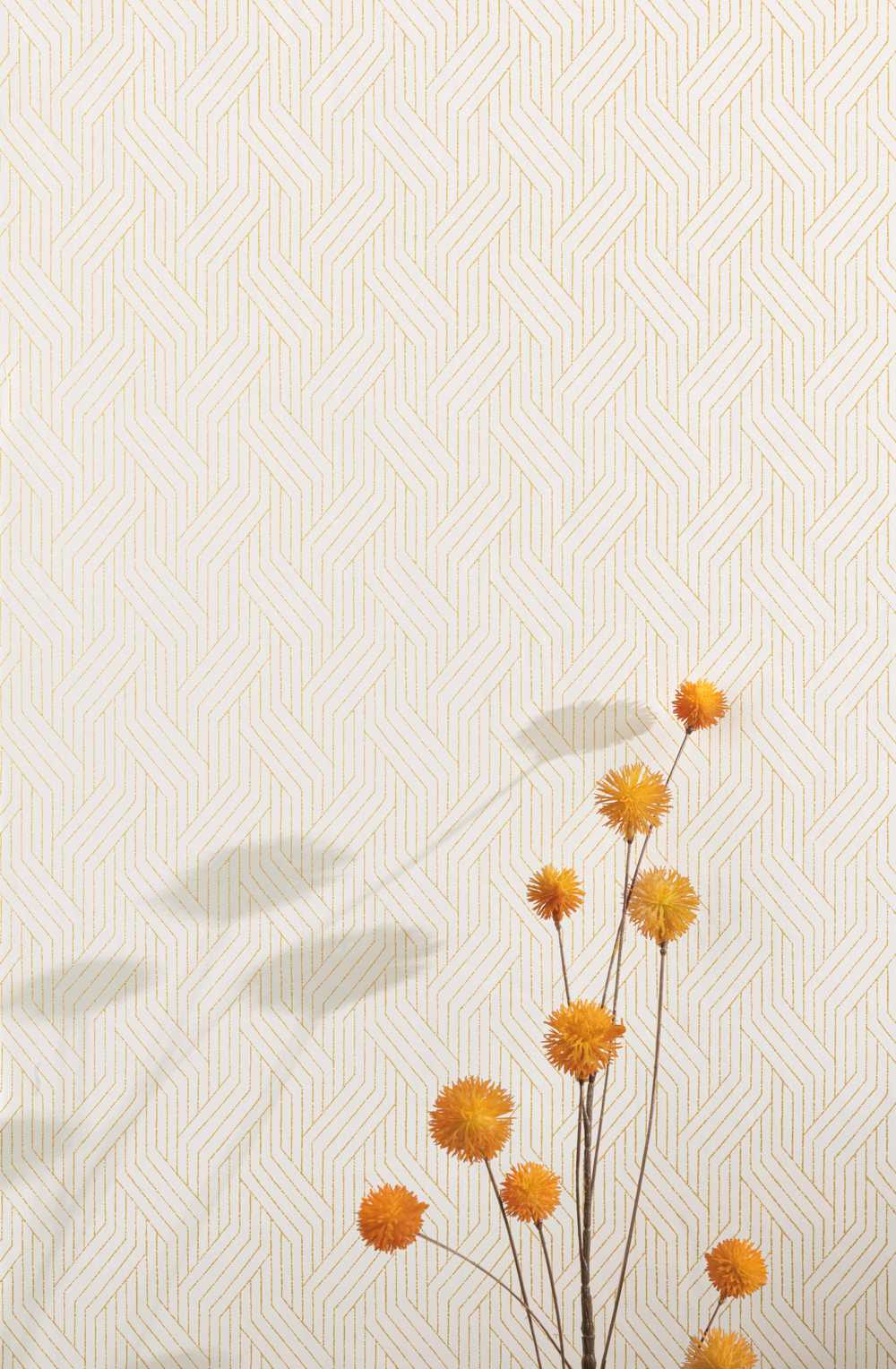 Masureel Zen ZEN404 Everly Gold